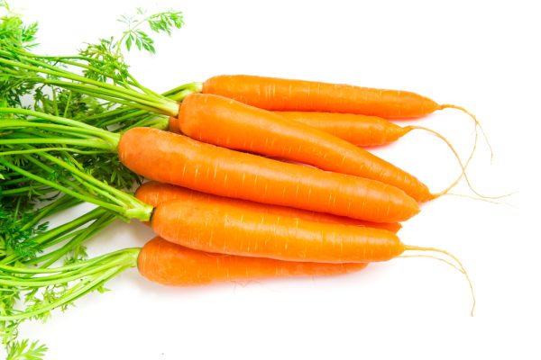 Carrot Seed Oil